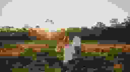 Photo of the Headshots Studio 'Eliza Jade Photography'