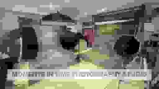 Photo of the Headshots Studio 'Moments in Time Photography Studio'