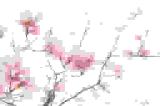 Photo of the Headshots Studio 'Foto Impressioni'