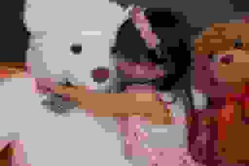 Photo of the Headshots Studio 'セルフ写真館 QnNe(キュンネ) | 仙台フォーラス4F'