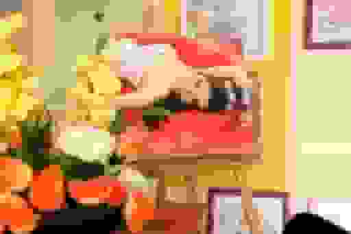 Photo of the Headshots Studio 'Foto Studio América'