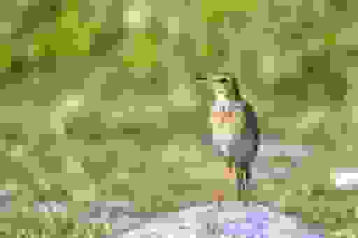 Photo of Petaling Jaya